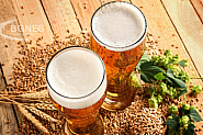 Български учени със сериозен принос в изследванията за състава на бирата